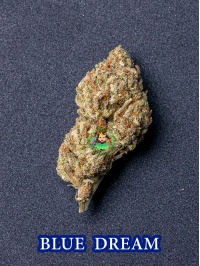 bluedream