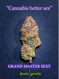 grandmatersexy