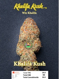 khalifakush