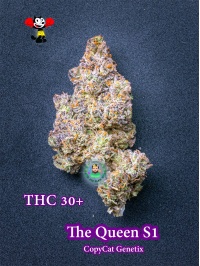 thequeens1