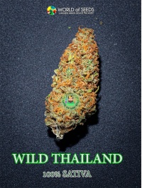 wildthailand