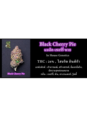 black-cherry-pie