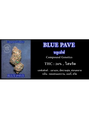 blue-pave-data_1939865201