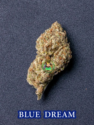 bluedream