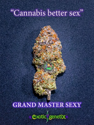 grandmatersexy