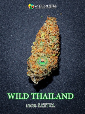 wildthailand